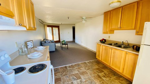 the kitchen and living room of a rental home with a kitchen counter and a sink
