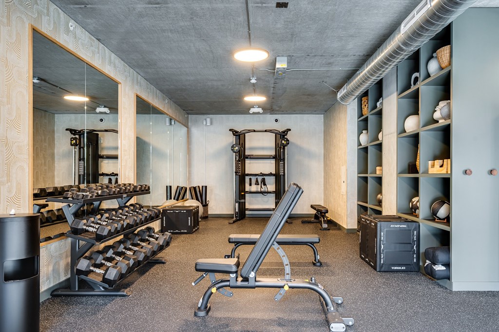 The Louisa Apartments