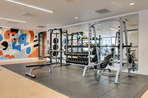 A gym with a variety of equipment including weights and a treadmill.