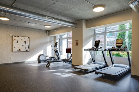 A gym with treadmills and exercise bikes.