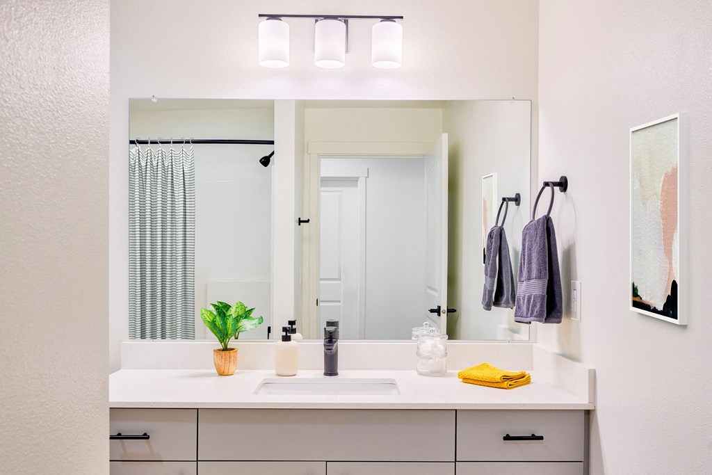 a bathroom with a sink and a mirror