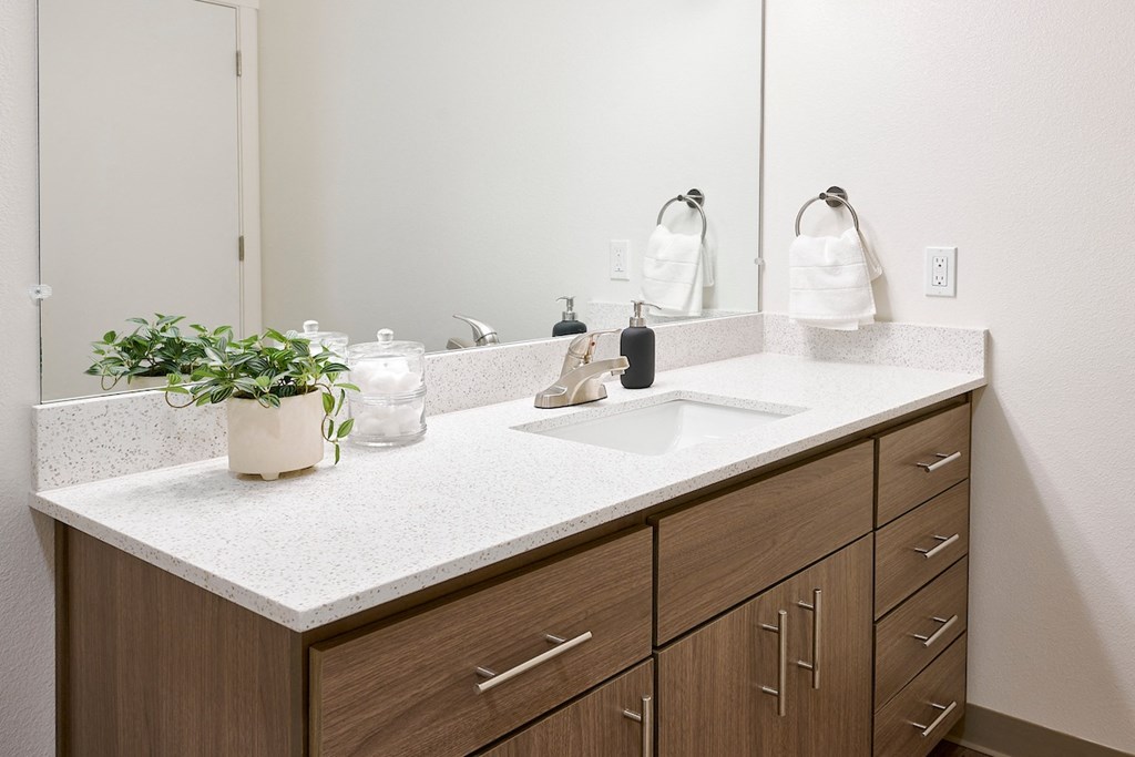 a bathroom with a sink and a mirror
