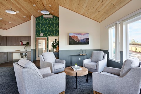 A living room with grey chairs and a wooden ceiling.