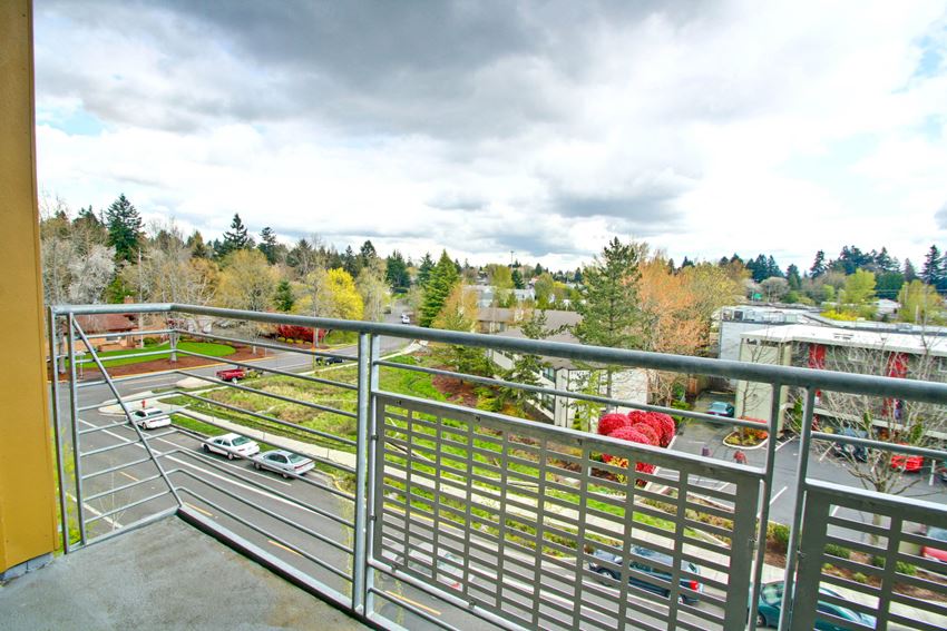 Headwaters - Photo Gallery