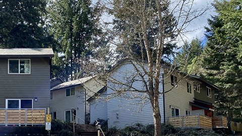 a house with a tree in front of it