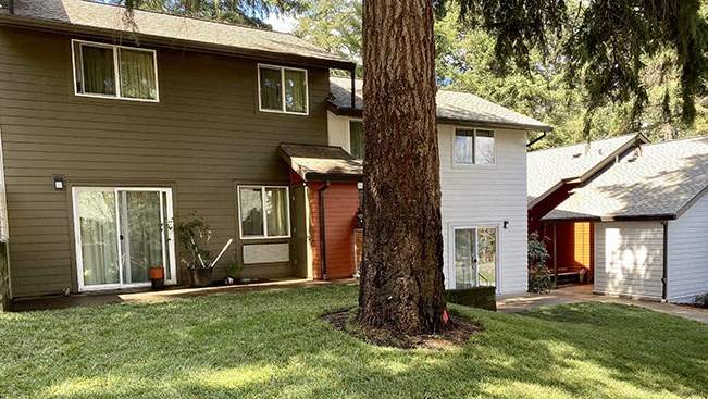 a house with a large tree in the front of it