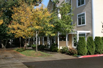 Park Vista