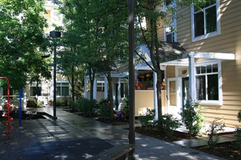 Park Vista