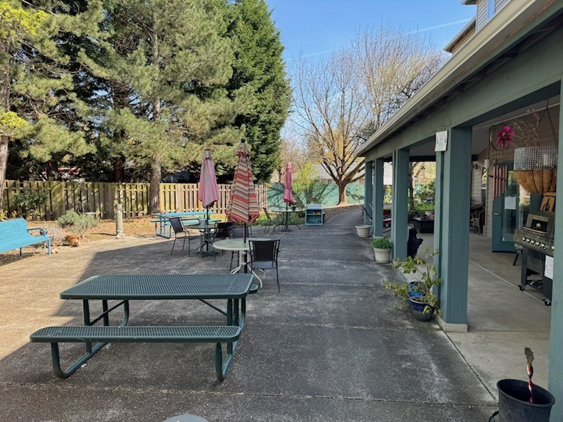 A sunny day at a park with picnic tables and chairs.