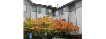 A tree with orange leaves in front of a grey building.