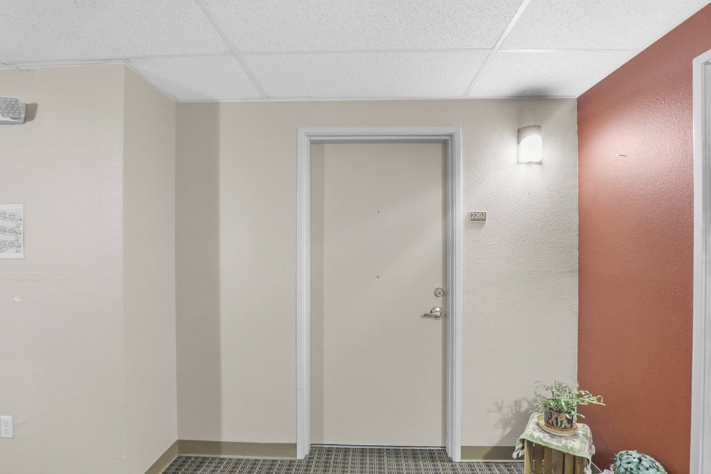 A white door is in a hallway with a plant on a side table.