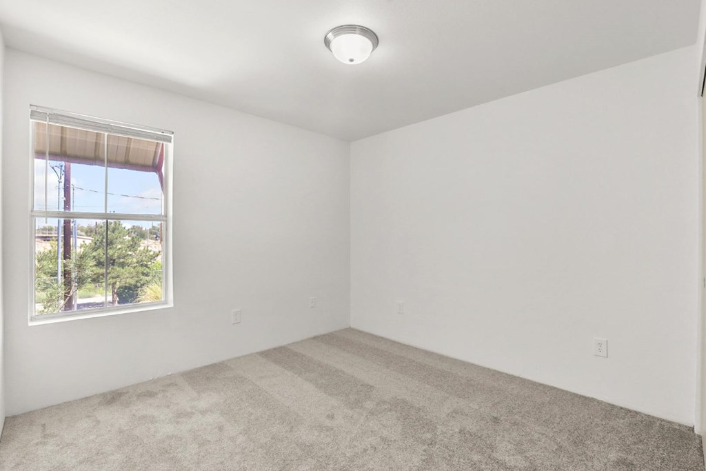 A room with a window and a carpeted floor.