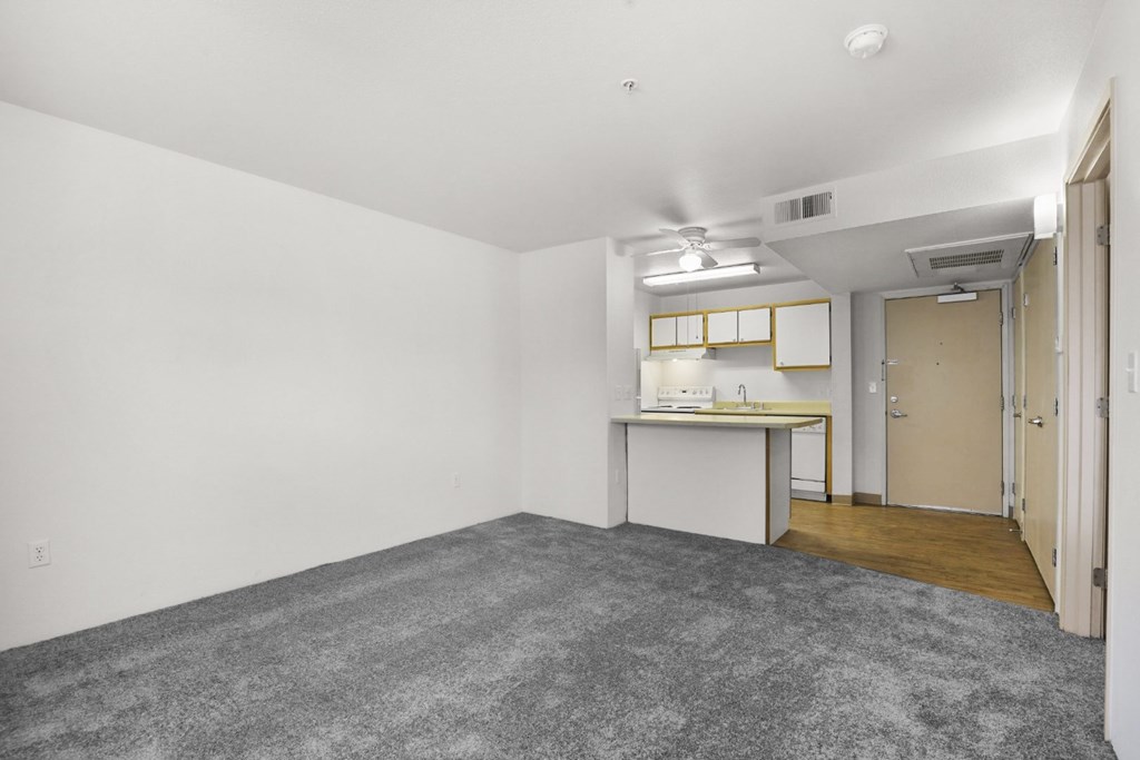 A room with a grey carpet and white walls.