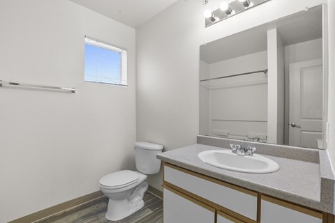 A white toilet sits next to a sink in a bathroom.