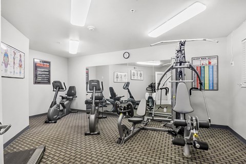 A gym with a variety of exercise equipment.