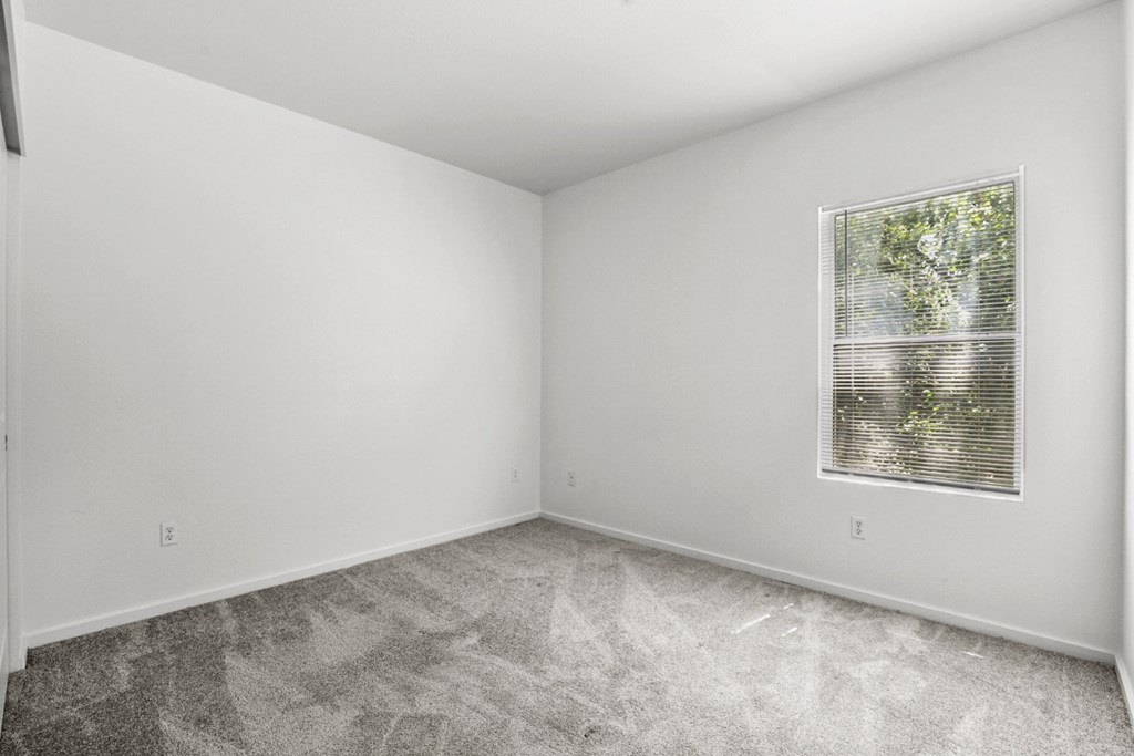 A room with a window and a carpeted floor.