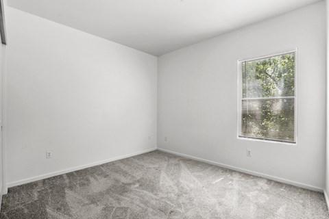 A room with a window and a carpeted floor.