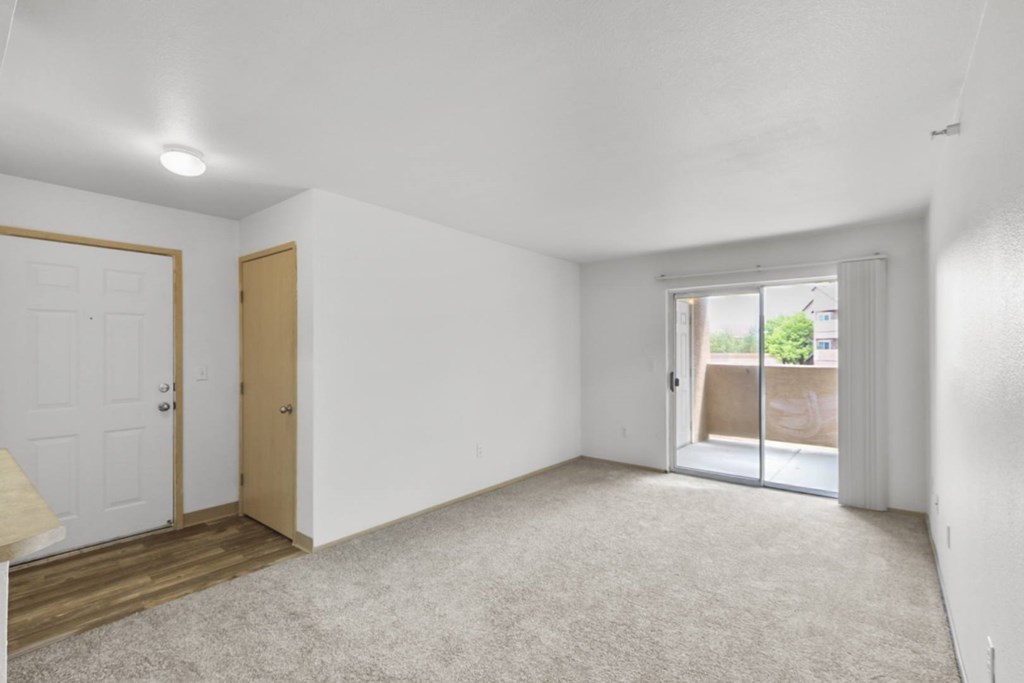 A room with white walls and a carpeted floor.