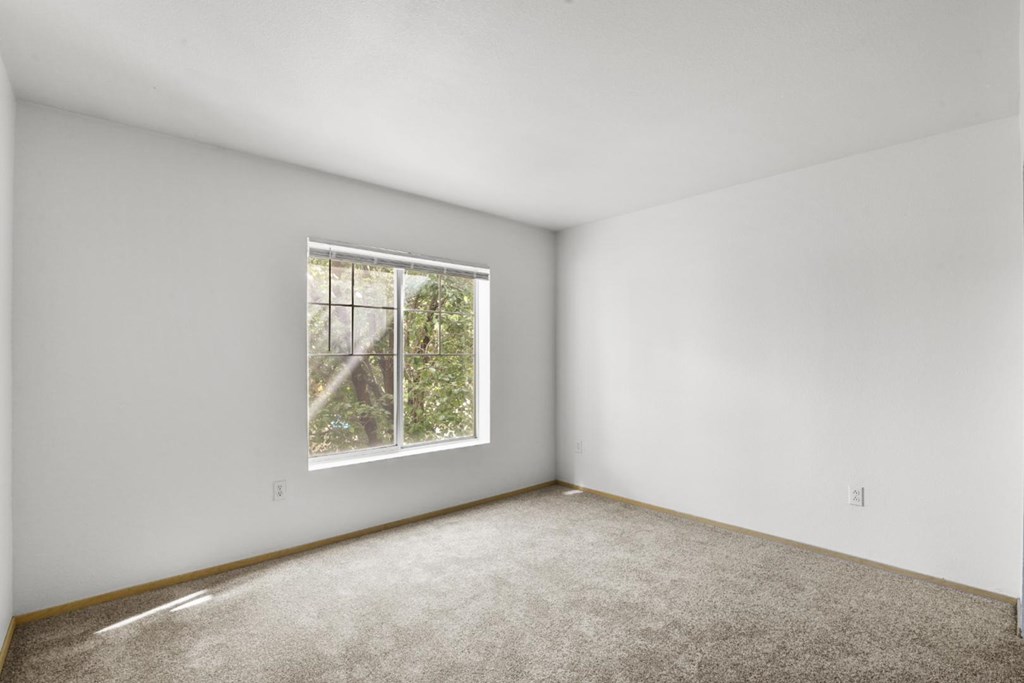 A room with a window and carpeted floor.