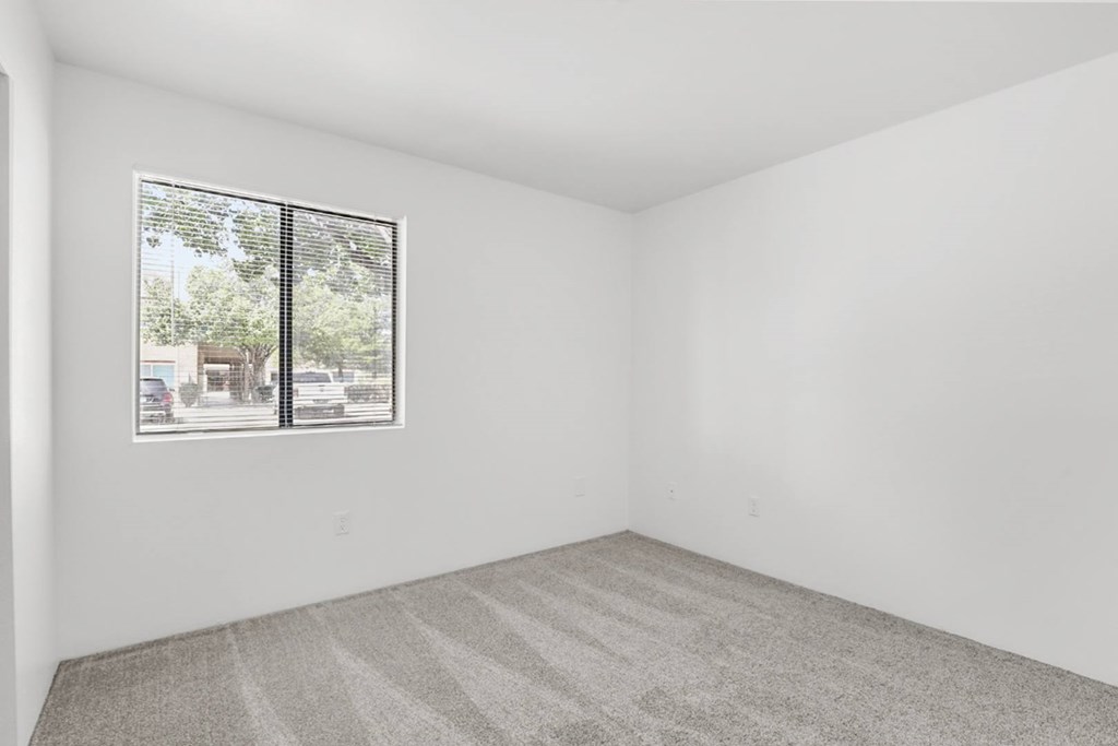 A room with a carpeted floor and a window showing a parking lot outside.