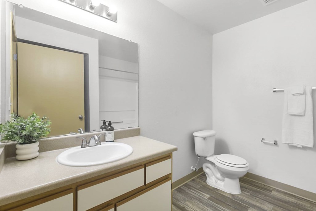 A bathroom with a toilet, sink, and mirror.