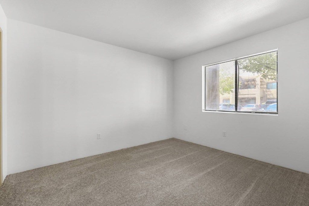 A room with a carpeted floor and a window showing a view of a street.