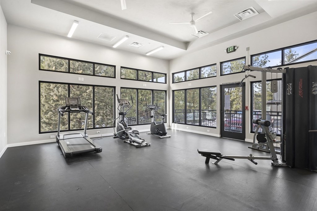 the gym at 1861 muleshoe road