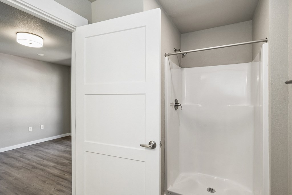 a bathroom with a walk in shower and hardwood flooring