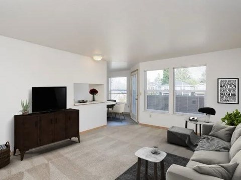 A living room with a grey couch, a black television, and a rug.