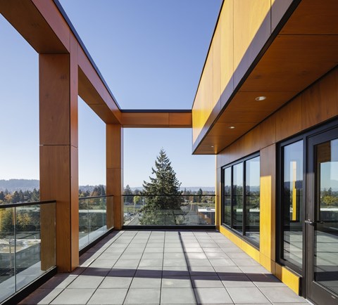 A balcony with a glass railing and a tree in the distance.