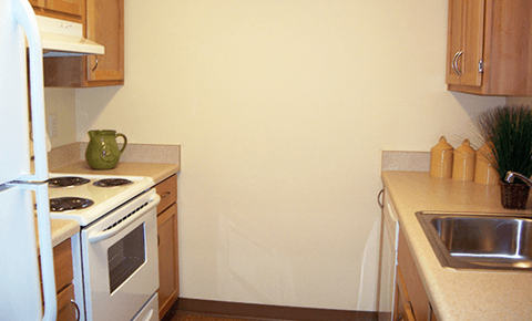 a kitchen with a stove and a sink