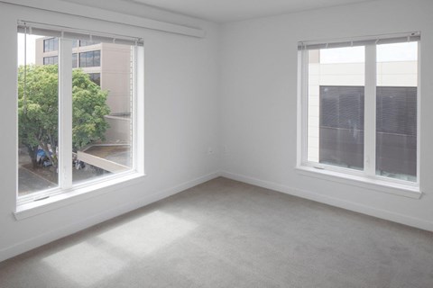 a bedroom with two large windows and a carpeted floor