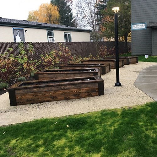 a row of wooden benches in a garden