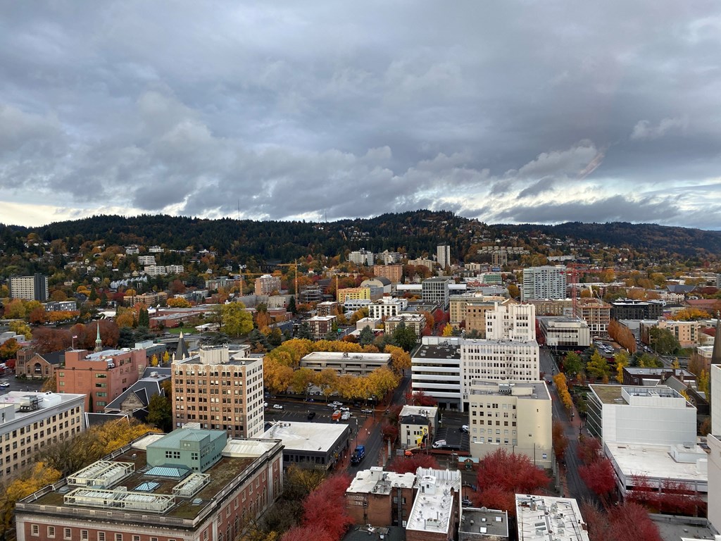 Park Avenue West looking into the West Hills