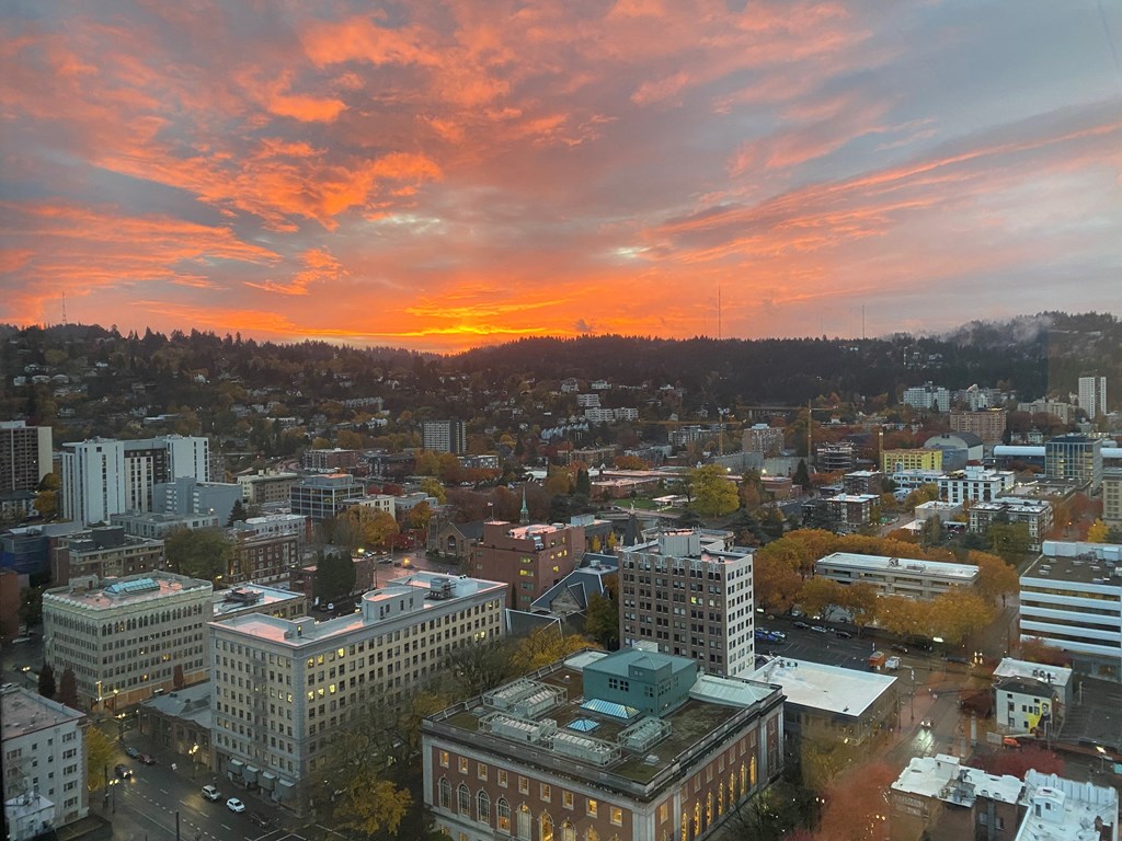 Park Avenue West looking into the West Hills