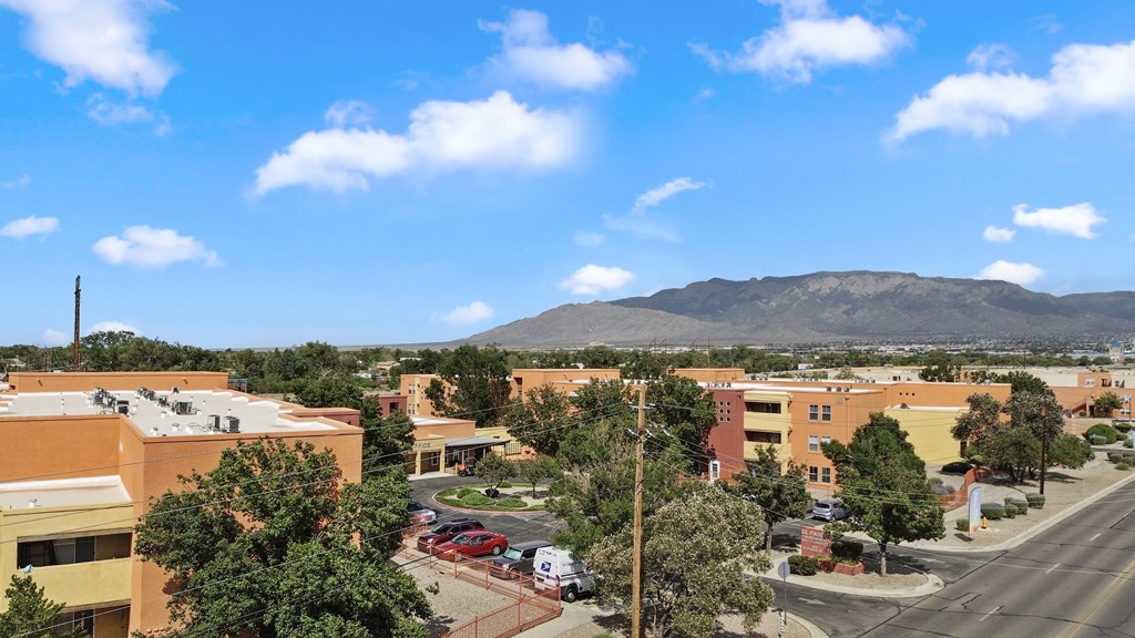 A view of a town with buildings and a mountain in the background.