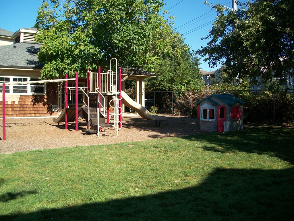 the playground is in the backyard of the house