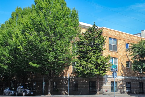 A tree in front of a building with a blue sky in the background.