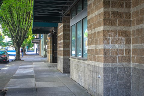 A tree with green leaves is on the sidewalk.