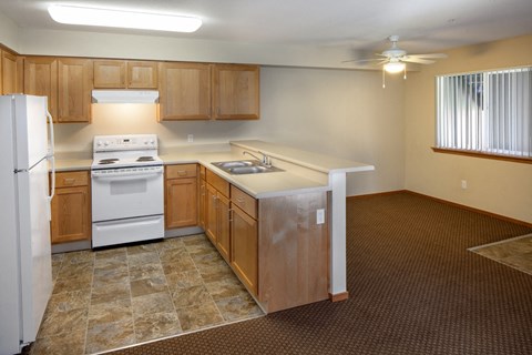 an empty kitchen with a stove refrigerator and sink