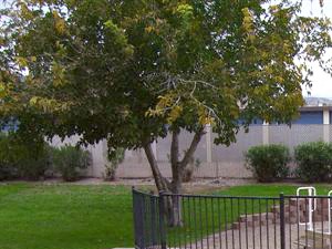 Sun River Apartments Playground SunRiver_Photo_PlaygroundExterior - Photo Gallery 3