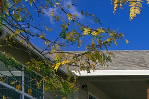 SuzannPlaza_Photo_Sidewalkview - Photo Gallery 3