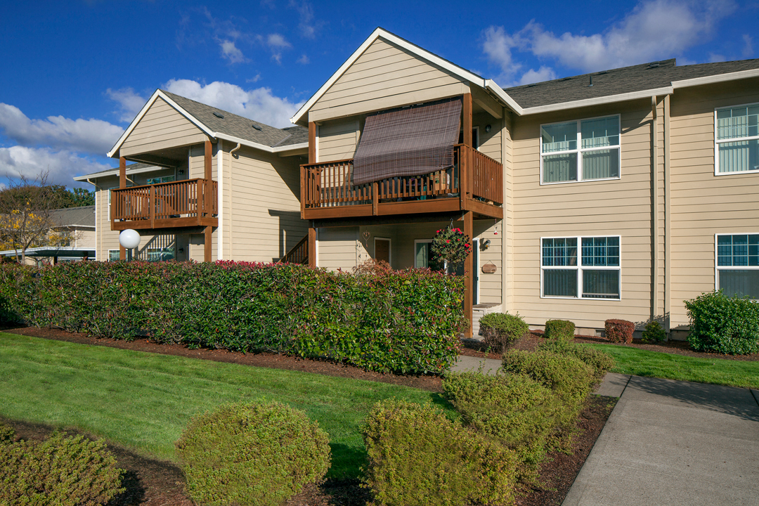 SuzannPlaza_Photo_Yard