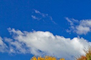 SuzannPlaza_Photo_YardView - Photo Gallery 5