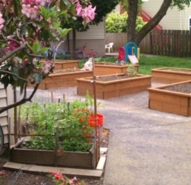 A garden with wooden beds and a tree with pink flowers.