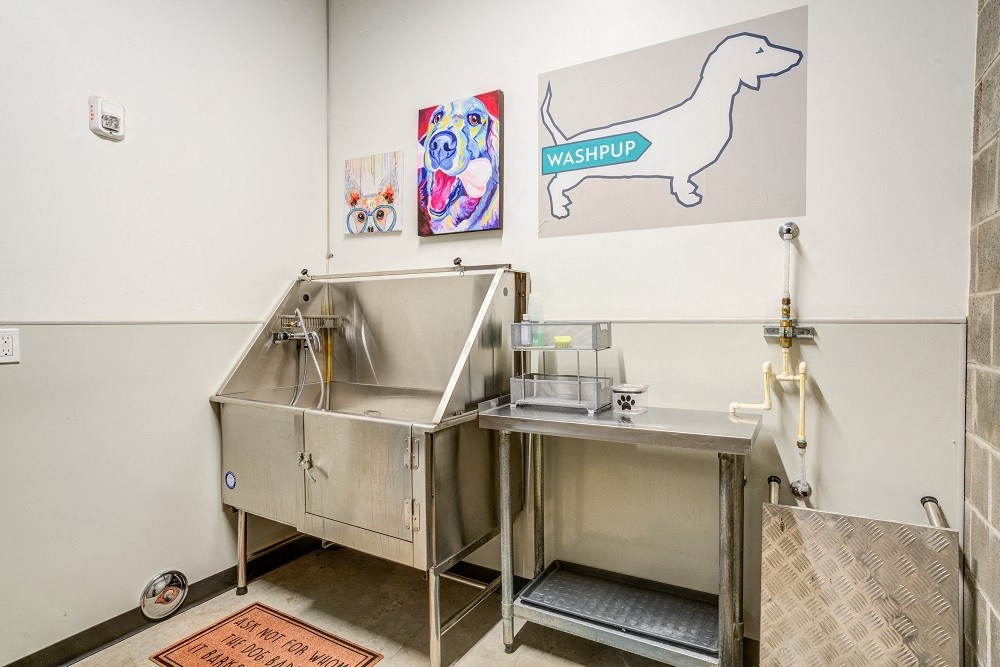 The Marilyn_Pet Wash Station