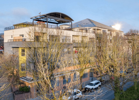 A modern building with a yellow section and a black roof is surrounded by bare trees.