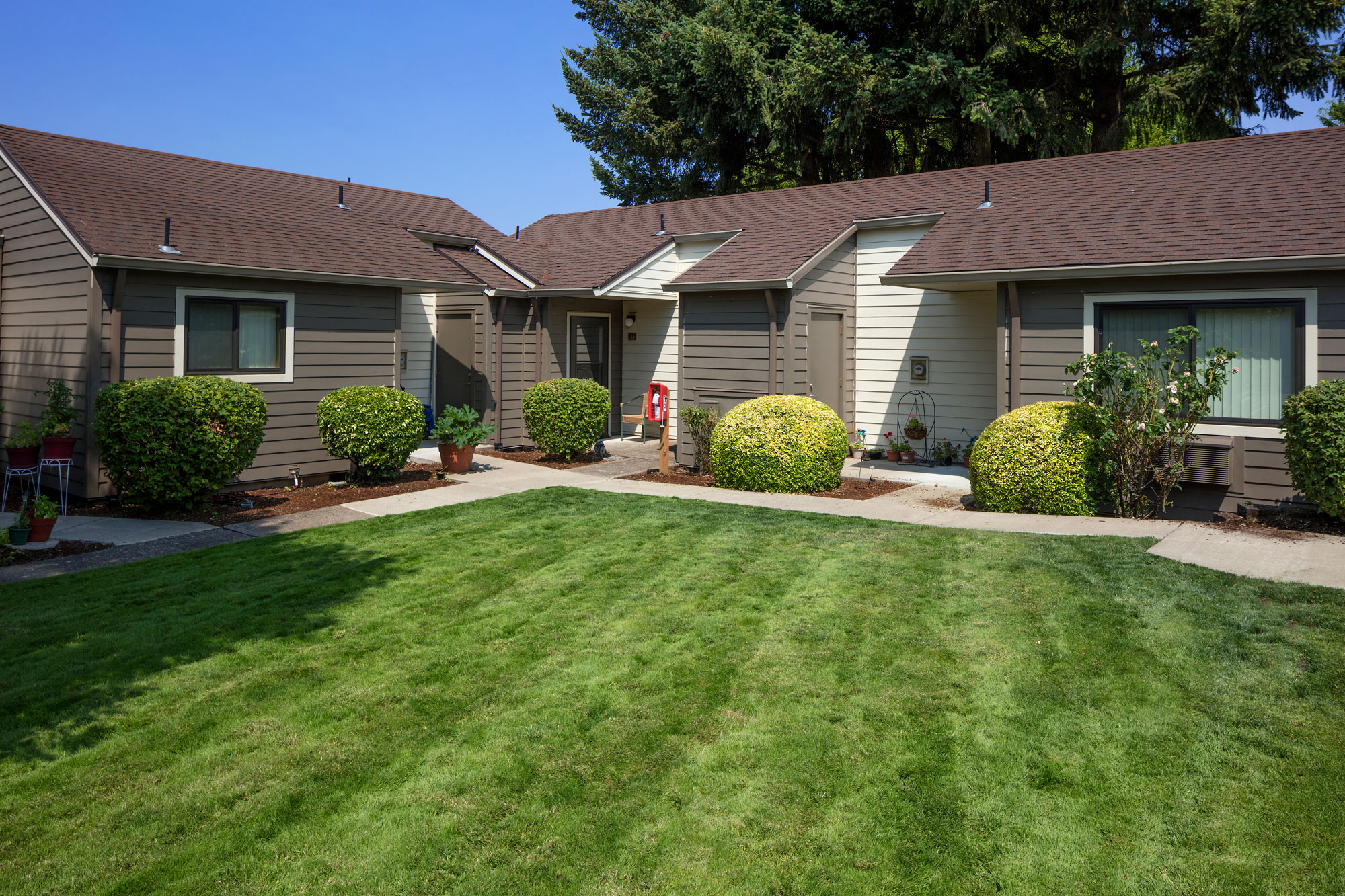 Front yard of apartments