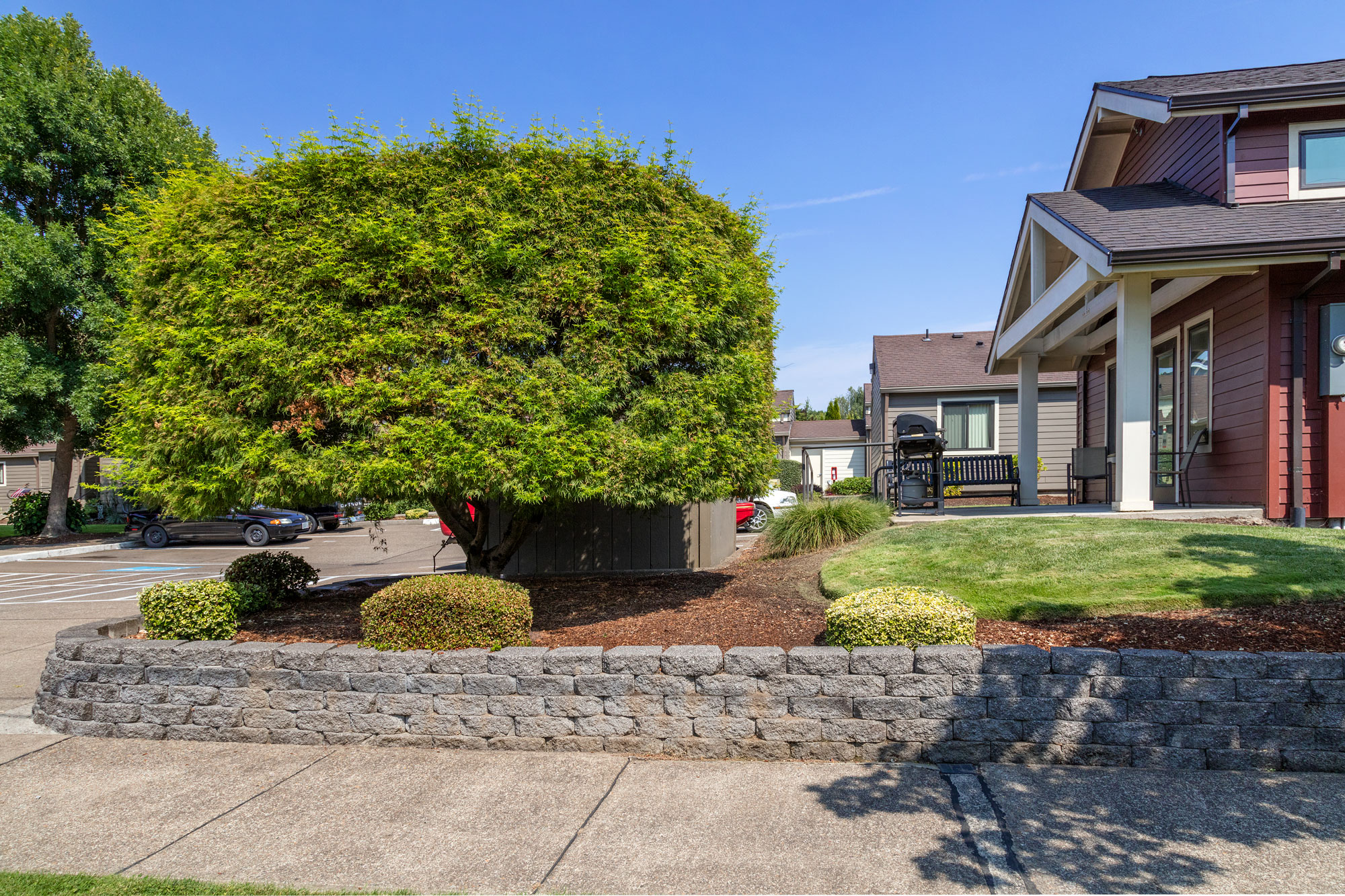Houses and Driveway/Road to Apartments