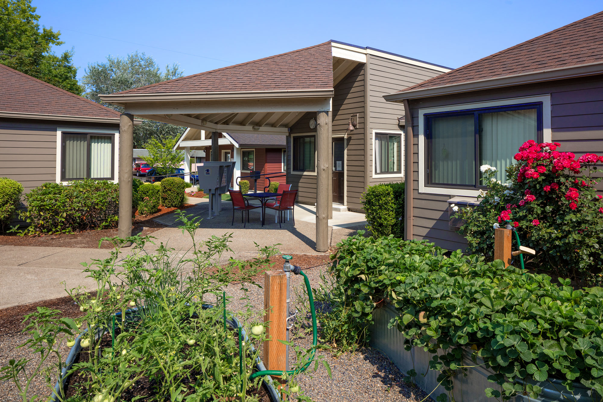 Garden and Apartments